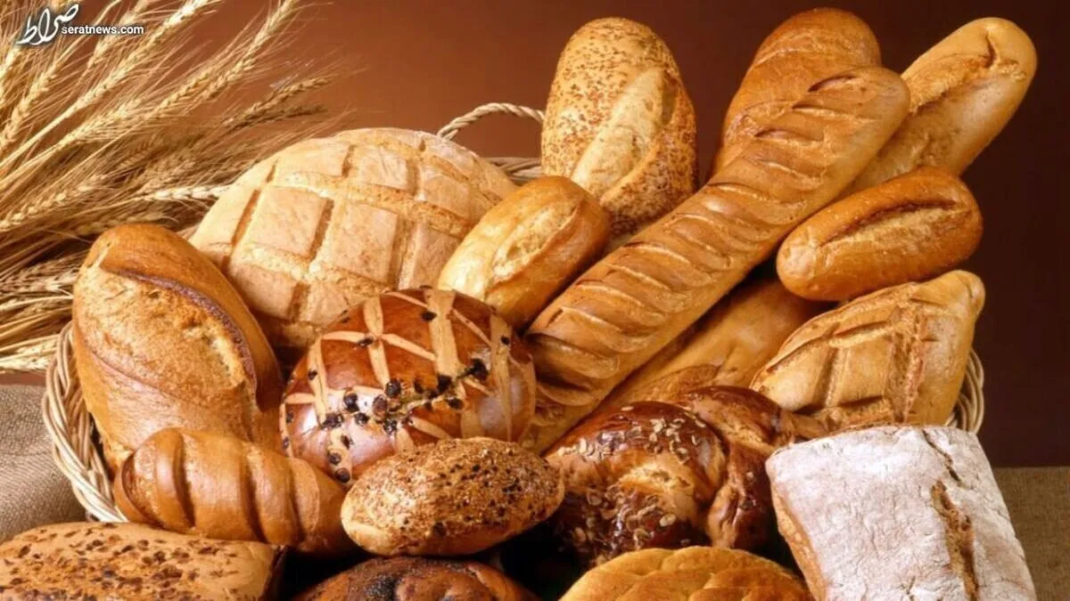 افزایش قیمت ۸۴ درصدی نانهای حجیم در مدت ۳ ماه افزایش قیمت ۸۴ درصدی نانهای حجیم در مدت ۳ ماه