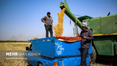 راهیان اقتصادی
