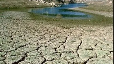 راهیان اقتصادی