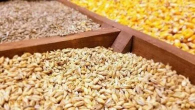 راهیان اقتصادی