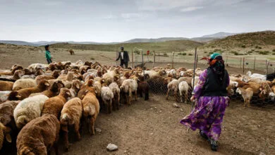 راهیان اقتصادی
