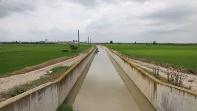 راهیان اقتصادی