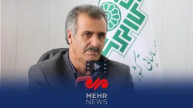 راهیان اقتصادی