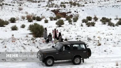 راهیان اقتصادی