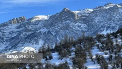 راهیان اقتصادی