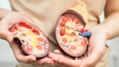 راهیان اقتصادی