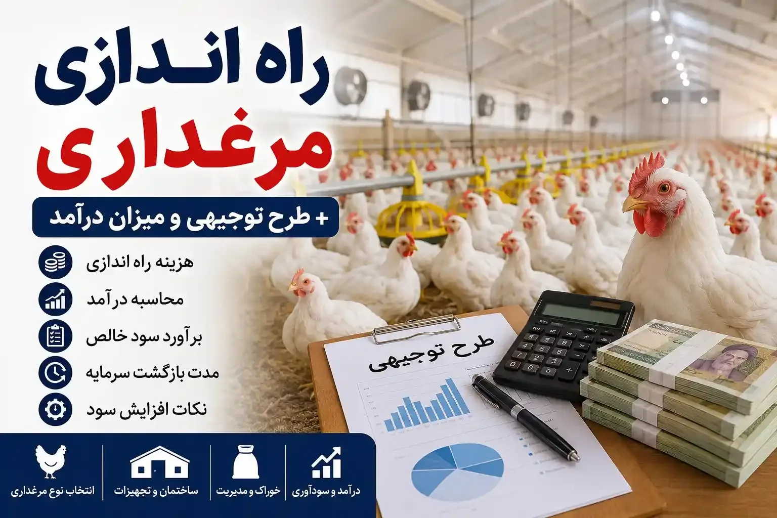 راه اندازی مرغداری؛ محاسبه هزینه، درآمد و سود با طرح توجیهی راه اندازی مرغداری؛ محاسبه هزینه، درآمد و سود با طرح توجیهی