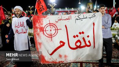 سلیمان‌دوست: ایمان به نصرت الهی رمز صبر و استقامت ملت ایران است
