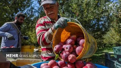 راهیان اقتصادی